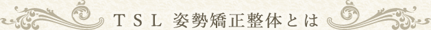 TSL 姿勢矯正整体とは